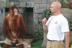 Brian Gisi performing public show with orangutan
