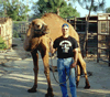 Brian Gisi training dromedary camel